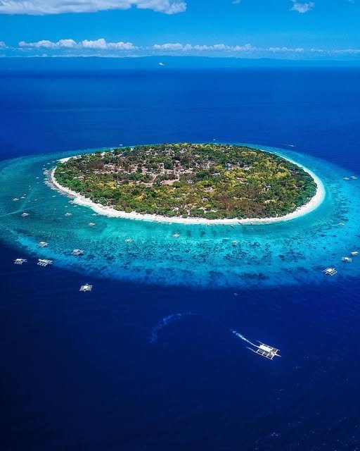 2.-Balicasag-Island_-A-Marine-Wonderland_.jpg